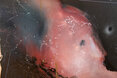 Ralf Ziervogel/Andreas Golder (detail)