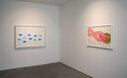 Jorinde Voigt: Hills and Turns II | Lacan Studie (8)